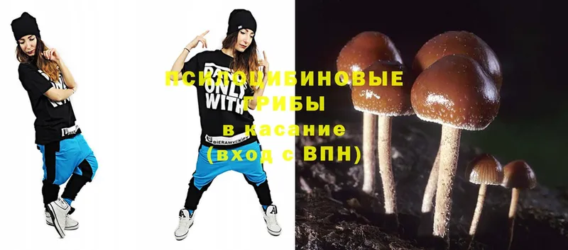 это формула  Бабушкин  Псилоцибиновые грибы Magic Shrooms 